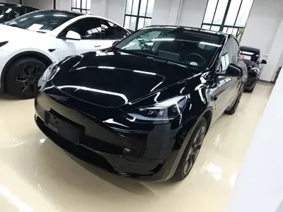 Tesla Model Y · 2023 год