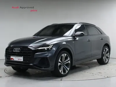 Audi Q8 · 2023 год
