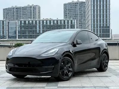 Tesla Model Y · 2023 год