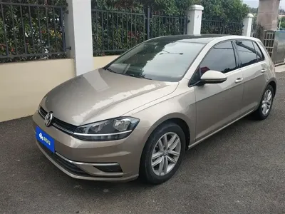 Volkswagen Golf · 2019 год