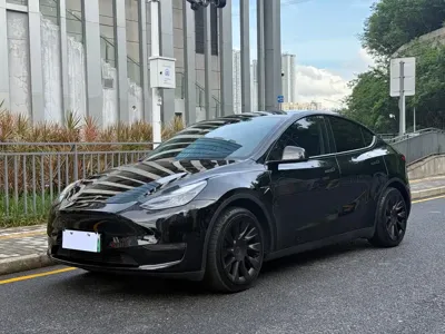 Tesla Model Y · 2021 год