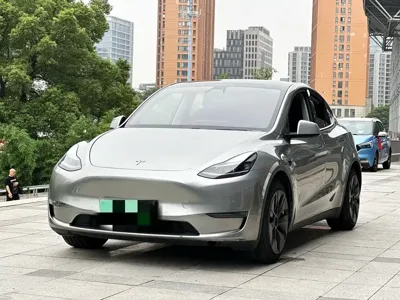 Tesla Model Y · 2021 год