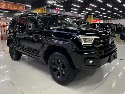 Tank Tank 400 New Energy 2024, 20000 км, за 229800 CNY