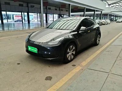Tesla Model Y · 2022 год