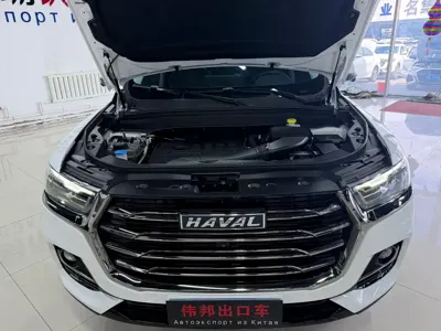 Haval H6 2023, 74000 км, за 76800 CNY - фото 22