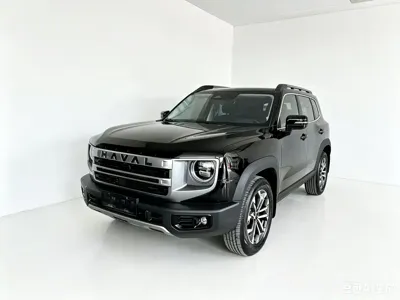Haval Big Dog · 2024 год