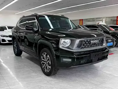Haval 哈弗大狗 PLUS 2024, 85500 км, за 85500 CNY - фото 3