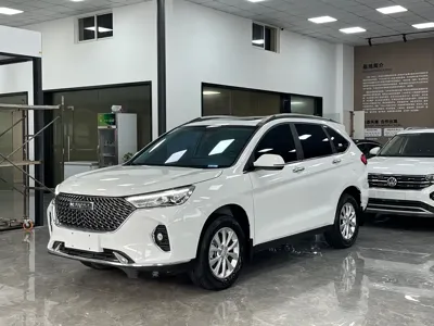Haval M6 · 2023 год