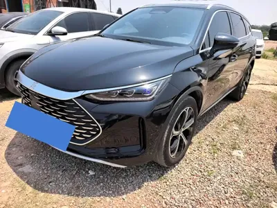BYD Tang New Energy · 2025 год