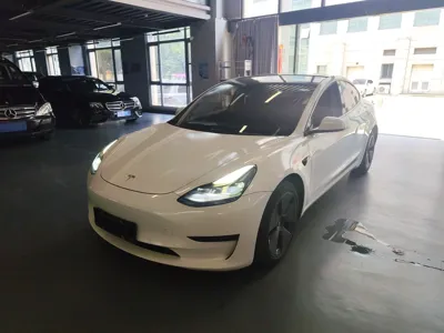 Tesla Model 3 · 2021 год