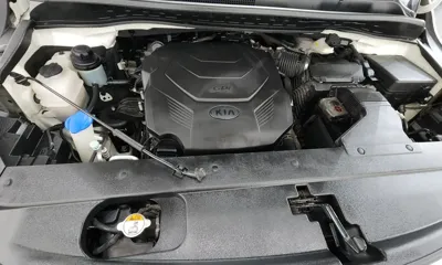 Kia Canival 2019, 85912 км, за 17500000 KRW - фото 6