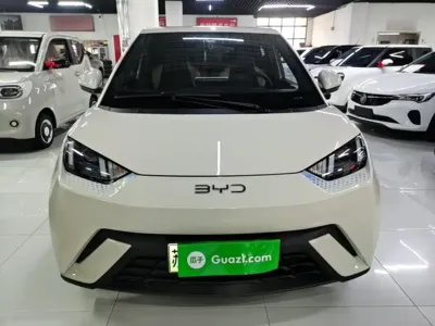 BYD Seagull 2024, 36500 км, за 48700 CNY