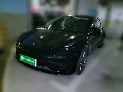 Tesla Model 3 · 2021 год