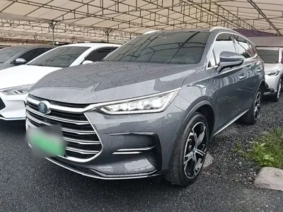 BYD Tang New Energy · 2023 год