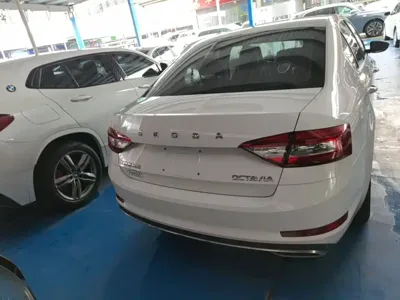 Skoda Octavia 2019, 121800 км, за 44400 CNY - фото 6