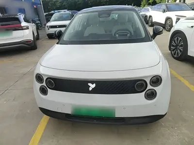firefly萤火虫 firefly萤火虫 2025, 12500 км, за 100399 CNY