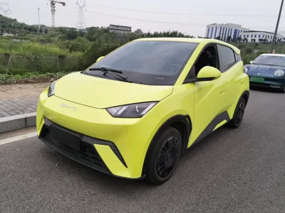 BYD Seagull · 2023 год