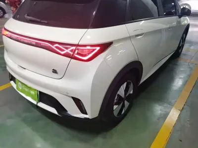 BYD Dolphin 2024, 54400 км, за 63300 CNY - фото 8