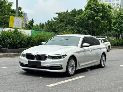 BMW 5 Series New Energy · 2020 год