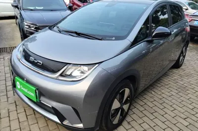 BYD Dolphin · 2023 год