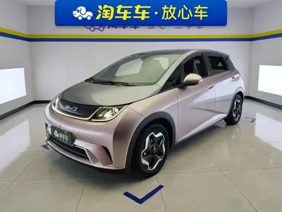 BYD Dolphin · 2022 год