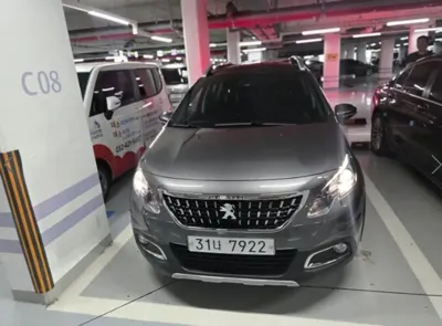 Peugeot 2008 · 2019 год