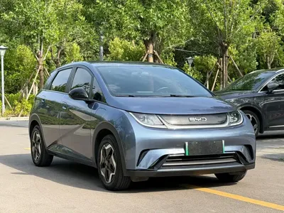 BYD Dolphin · 2025 год
