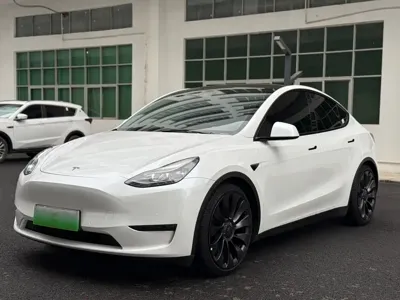 Tesla Model Y · 2022 год