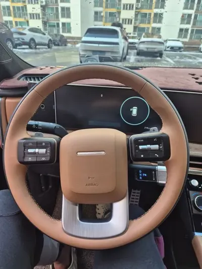 Hyundai Santafe 2025, 3780 км, за 32200000 KRW - фото 6