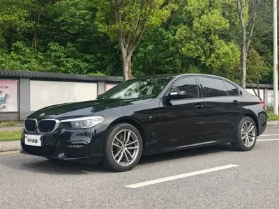 BMW 5 Series · 2019 год