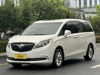 Buick GL8 · 2019 год