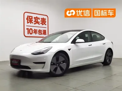 Tesla Model 3 · 2021 год