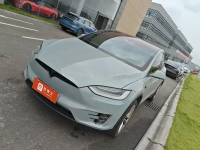 Tesla Model X · 2020 год