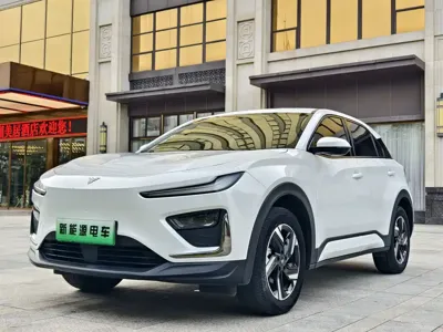 NETA Neta X · 2024 год