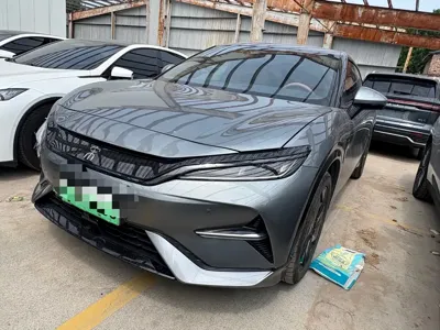 BYD L EV · 2024 год