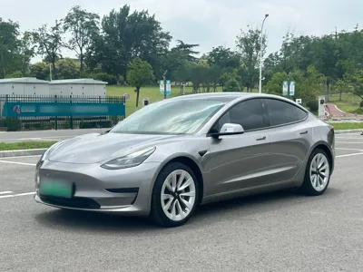 Tesla Model 3 · 2021 год