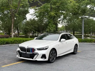 BMW 5 Series · 2024 год