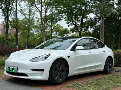 Tesla Model 3 2021, 115000 км, за 112800 CNY - фото 1