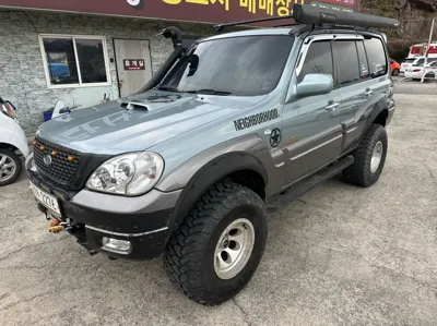 Hyundai Terracan · 2004 год
