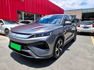 BYD Pro New Energy · 2025 год
