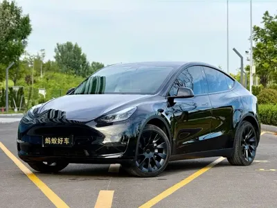 Tesla Model Y · 2023 год