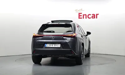 Lexus UX 2025, 17246 км, за 43400000 KRW