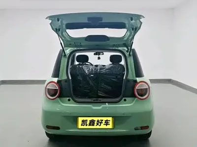 Qiyuan Lumin 2025, 400 км, за 40800 CNY - фото 9