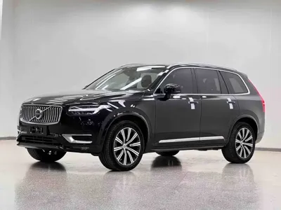 Volvo XC90 · 2019 год