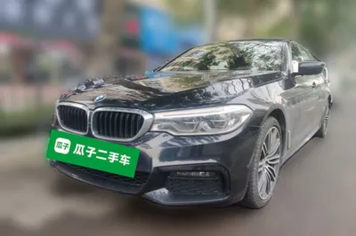 BMW 5 Series · 2019 год