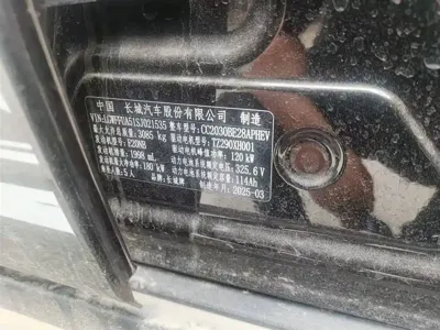 Tank Tank 300 New Energy 2025, 5000 км, за 209800 CNY