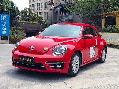 Volkswagen Beetle · 2019 год