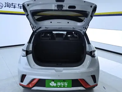 BYD Dolphin 2023, 23300 км, за 58000 CNY - фото 4