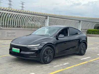 Tesla Model Y · 2025 год