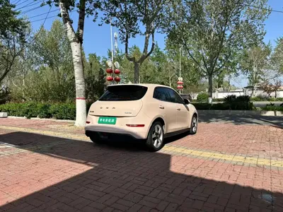 ORA Ora Good Cat 2022, 50000 км, за 56800 CNY - фото 9